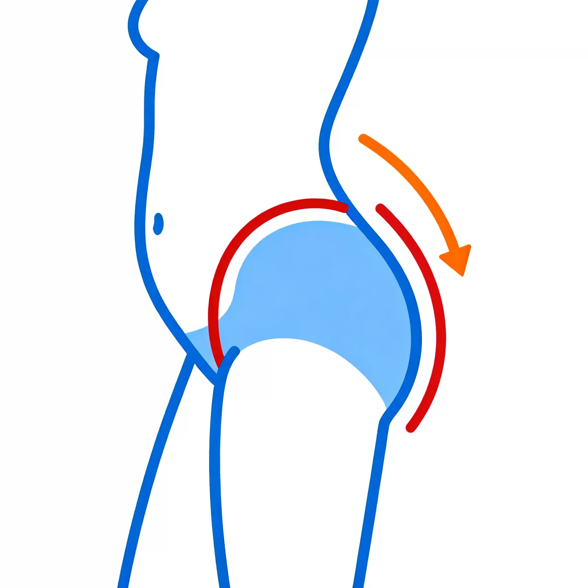 Anterior Pelvic Tilt